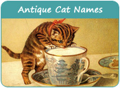 Antique Cat Names