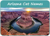 Arizona Cat Names