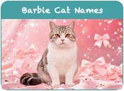 Barbie Cat Names