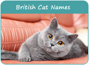 British Cat Names