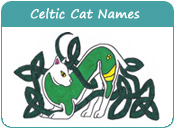 Celtic Cat Names