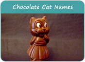 Chocolate Cat Names
