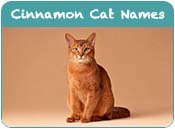 Cinnamon Cat Names
