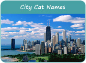 City Cat Names