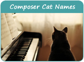Composer Cat Names