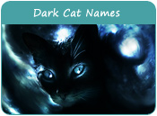 Dark Cat Names