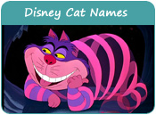 Disney Cat Names