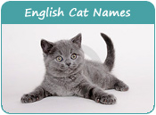 English Cat Names
