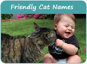 Friendly Cat Names