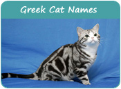 Greek Cat Names