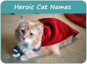 Heroic Cat Names