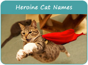 Heroine Cat Names