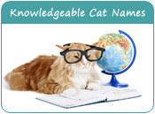 Knowledgeable Cat Names