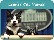 Leader Cat Names