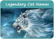 Legendary Cat Names