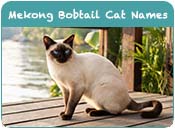 Mekong Bobtail Cat Names