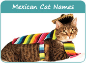 Mexican Cat Names