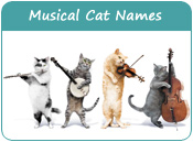 Musical Cat Names