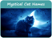 Mystical Cat Names