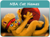 NBA Cat Names
