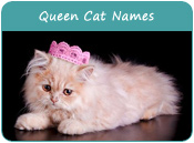 Queen Cat Names