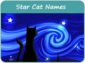 Star Cat Names
