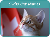 Swiss Cat Names