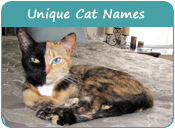 Unique Cat Names