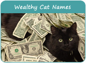Wealthy Cat Names